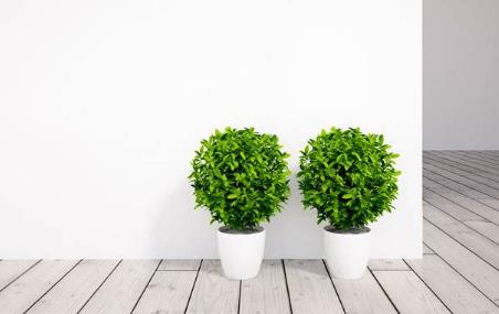 �Gɫ�h�����o���oζ