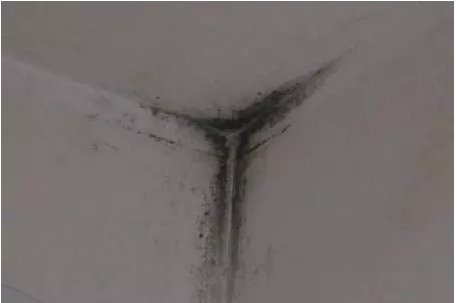 室內結露發霉